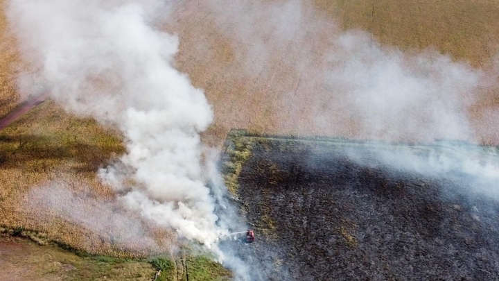 ВСУ начали поджигать поля с пшеницей на границе с Херсонской областью — ВГА региона