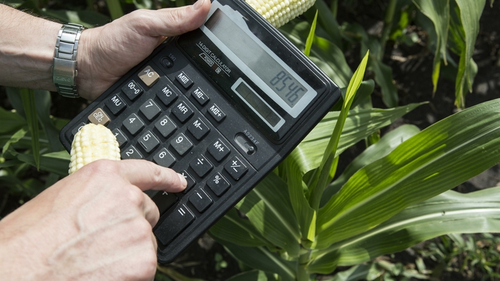 Считать калории вредно: Диетолог озвучила здоровую замену кулинарной математике