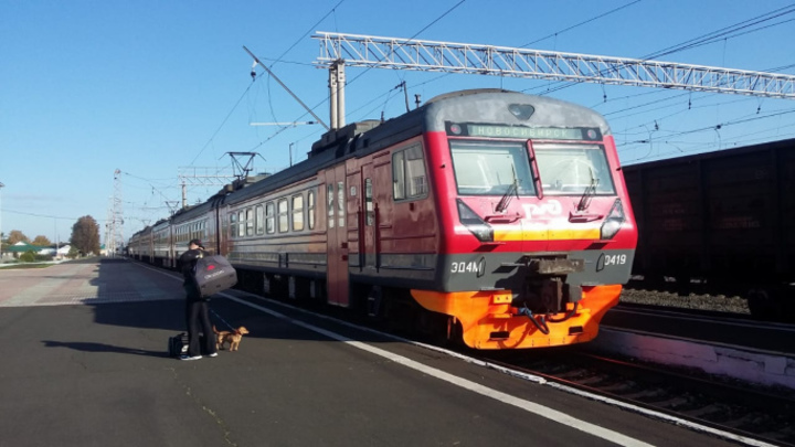 В Новосибирской области с 1 мая изменится расписание электричек: график движения