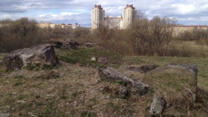Петербурженка нашла мешок с костями во время прогулки по Полежаевскому парку