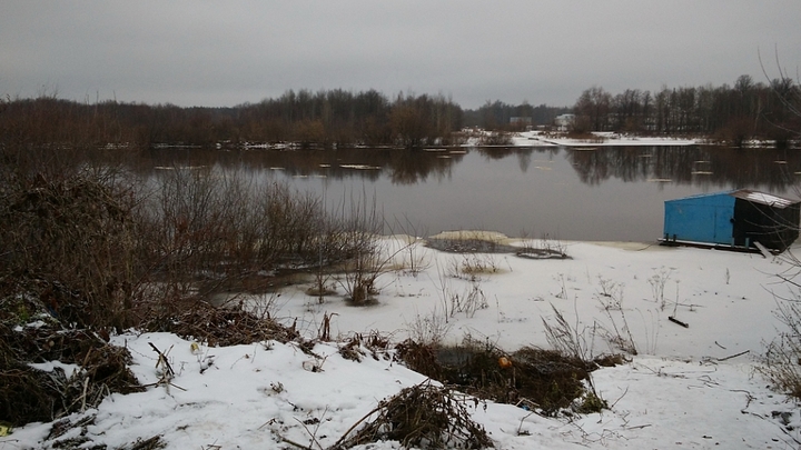 Паводок: вода в реках Подмосковья начала стремительный подъем