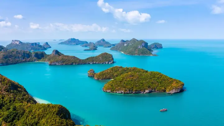 Парализованного детского хирурга из Омска пытаются эвакуировать из Таиланда