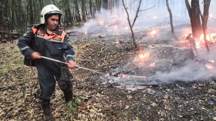 В Самарской области продолжается борьба с масштабным возгоранием в Борском районе