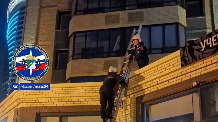 Мужчина выпал с 12 этажа высотки на улице Ипподромской в Новосибирске