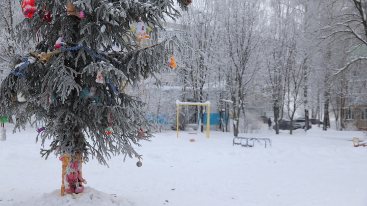 Какие парки и скверы претендуют на благоустройство в Иванове в 2022 году