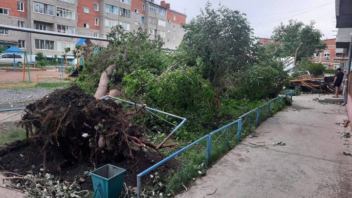 Фото: ГСУ СК России по Красноярскому краю и Республике Хакасия