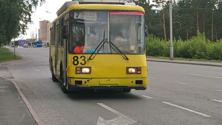 До 30 рублей подорожает проезд в троллейбусах в Чите