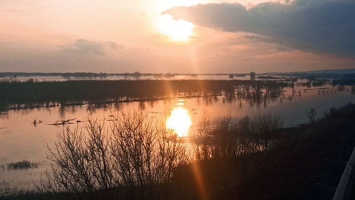 Не теряйте время: В Оренбурге звучит тревога - мэр заявил об эвакуации