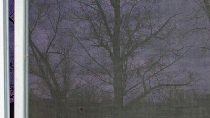 Baza: в США представили дрон-охотник на комаров