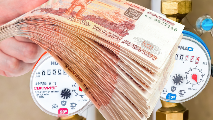 Езжайте лесом отсюда в свою Германию: Как развернули немецких инвесторов, которые хотели вложиться в систему ЖКХ России