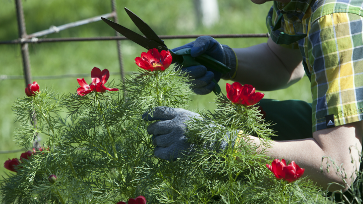 Фермер пережил клиническую смерть и рассказал о загробном мире