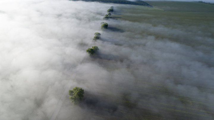 Нацисты жгут поля с зерном: Минобороны раскрыло регионы диверсий ВСУ