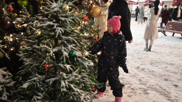 Цены на новогодние ёлки в Московской области остались прошлогодними