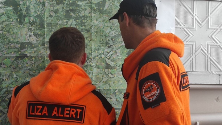 В Новосибирской области завершились поиски пропавшей 12-летней девочки