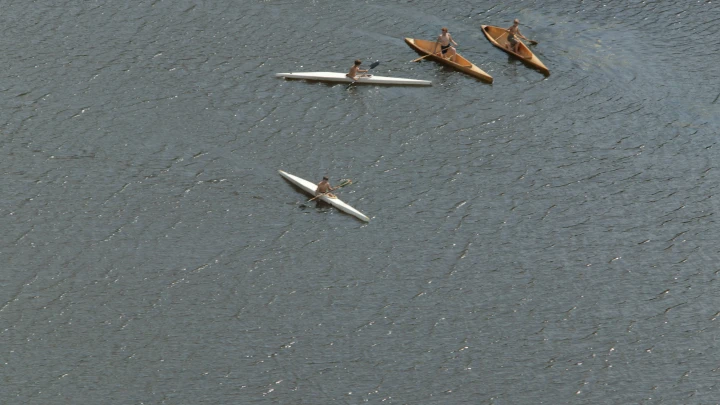 Горбатый кит случайно чуть не съел каякера в Чили: Опубликовано видео