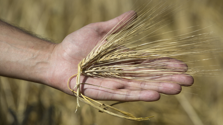 Главная сделка России назначена: Русских вновь попытаются предать