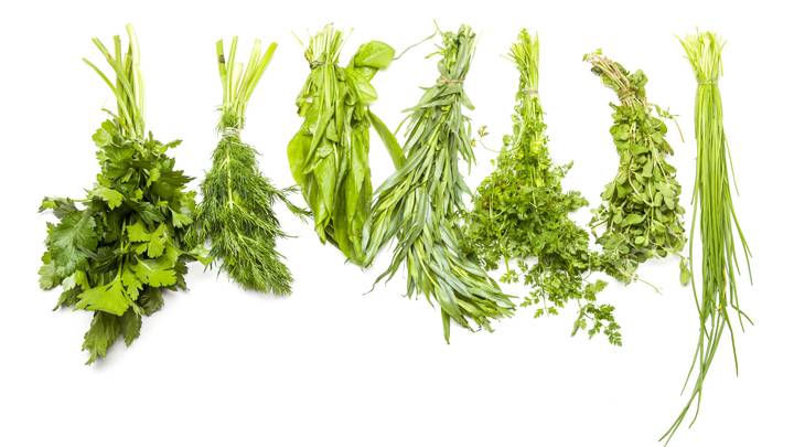 Чтобы зелень не желтела: Хозяйки поделились пятью хитростями на кухне