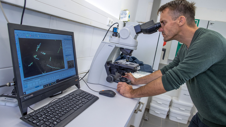 Названы десять симптомов затяжного COVID-19