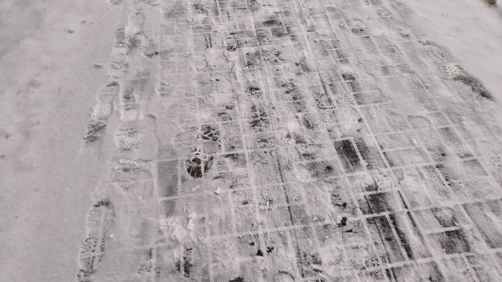 Предновогодняя аномалия: Петербуржцам придётся смириться