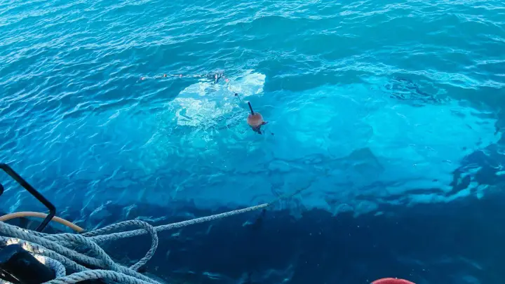 Пострадавшие в трагедии с батискафом Синдбад опровергли сразу два фейка: Не соответствует действительности