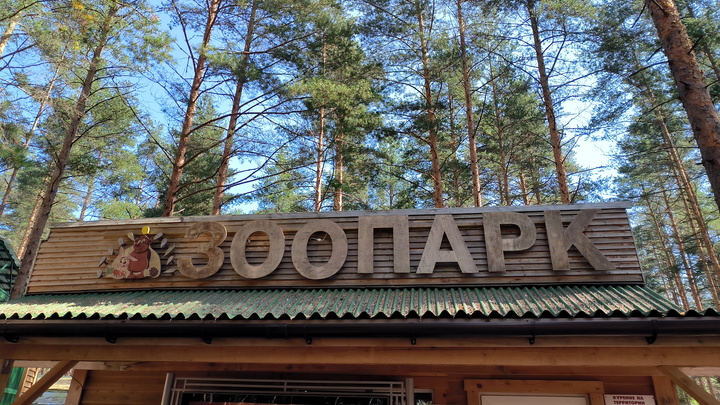 В Самарском зоопарке состоится праздник, посвященный Дню знаний