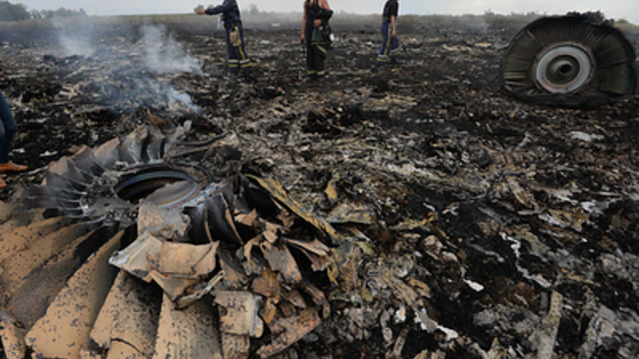 Судья в Гааге, выступившая против версии о русской ракете в деле MH17, уволилась