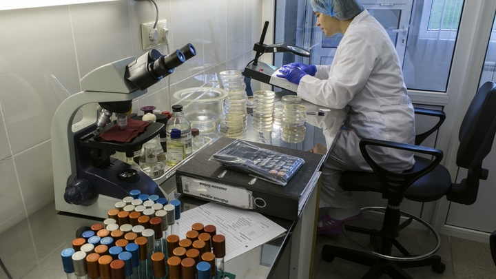 От энцефалита привьют 3 миллиона человек: Клещи открыли сезон охоты на людей  - Роспотребнадзор