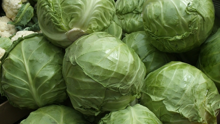 Где такое видано?: Жители Благовещенска пожаловались на золотую капусту