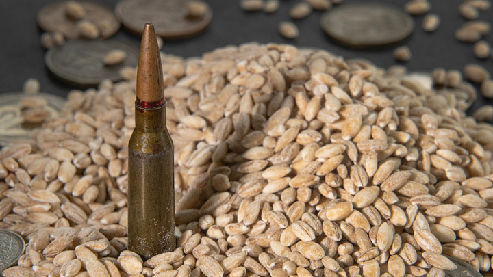 Новый запрет: Ещё одна соседка Украины пообещала закрыть рынок зерна