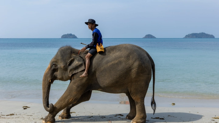 Эксперт раскрыл, в какие месяцы 2026 года отпуск будет самым выгодным