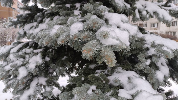 Снегопады вернутся в Нижегородскую область 8 декабря
