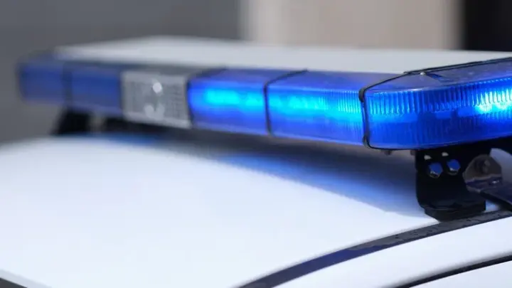 В чемодане что? 47 ядовитых змей пытались вывезти из Тайланда в багаже
