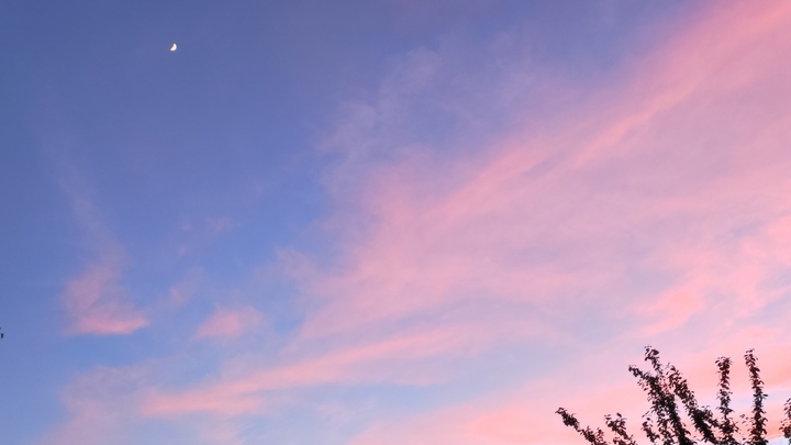 Погода в Ростове-на-Дону 22 июля 2023: прогноз синоптиков