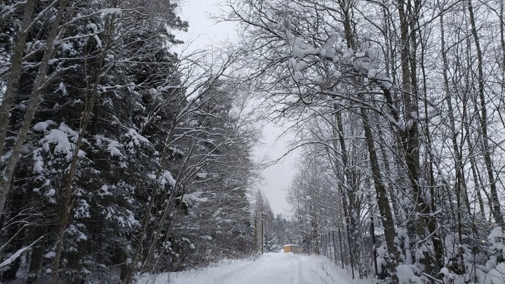 Арктическая истерия: Забытая болезнь, которая может объяснить трагедию на перевале Дятлова