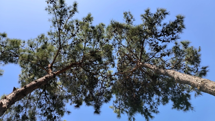 Народные приметы на 28 мая 2025: поверья, что нельзя делать в день Пахома Теплого