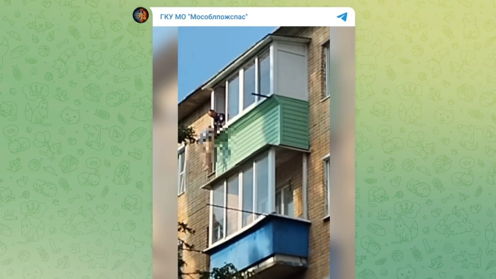 В Подмосковье спасатели сняли трёхлетнего ребёнка с карниза пятого этажа