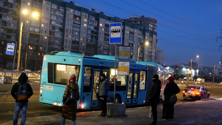 В Петербурге начали работать два новых автобусных маршрута