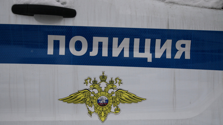В Новосибирске полицейские изъяли 30 кг наркотиков на 100 млн рублей