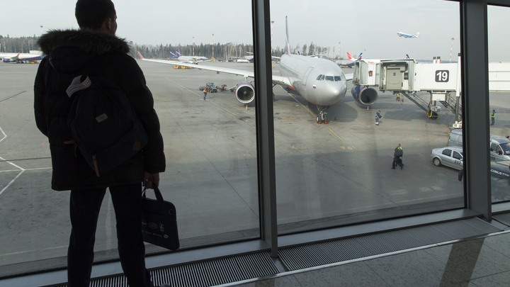 Снежный апокалипсис: 33 самолёта не могут сесть в Петербурге. Что известно к этому часу