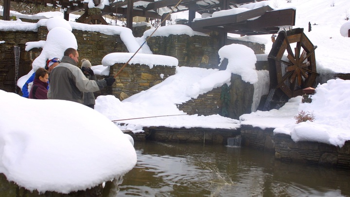 Народные приметы на 6 декабря – Митрофанов день