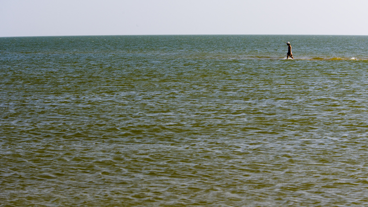 Из-за сильного ветра обмелели Дон и Азовское море: Таганрожцам грозят перебои с водой
