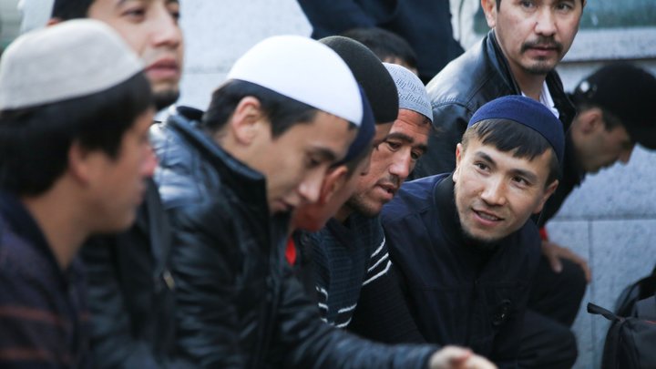 Толстой переполошил Союз азербайджанцев заявлением о мигрантах. Правда оказалась ещё неудобнее