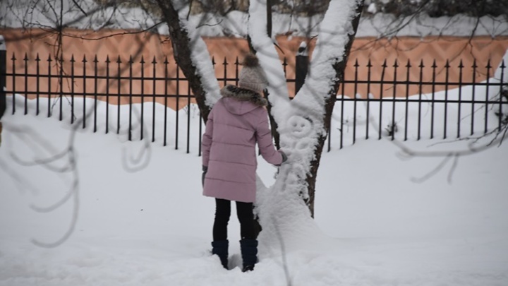 В Красноярске учитель выгнала 8-летнюю школьницу на мороз из-за опоздания
