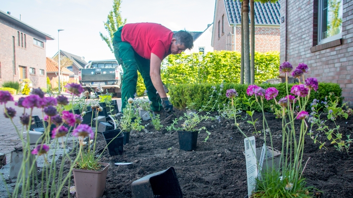 Чем опасна поза огородника: Полтора часа, которые восстановят баланс