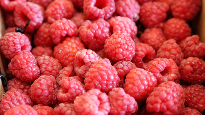 Торговый эксперт призвала жителей России не покупать малину и голубику