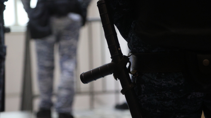 Имеющим судимость иностранным гражданам могут пожизненно запретить въезд в Россию