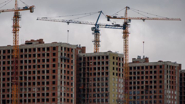 Сенатор объяснил, как строительство человейников мешает рождению детей