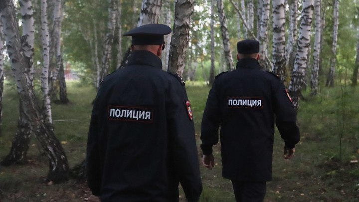 В лесу Челябинской области пропал водитель грибников