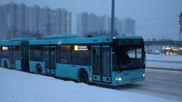 В Петербурге рейсовый автобус столкнулся с грузовиком. Виноваты в аварии запрещённые вещества