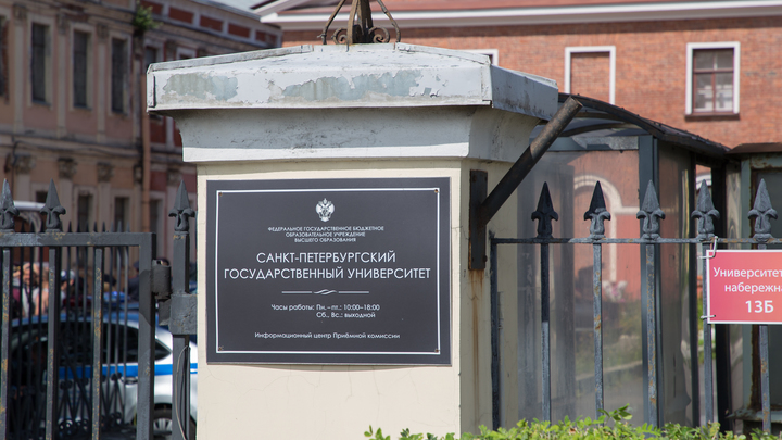 Преподаватель СПбГУ поучаствовал в пацифистском митинге и лишился работы
